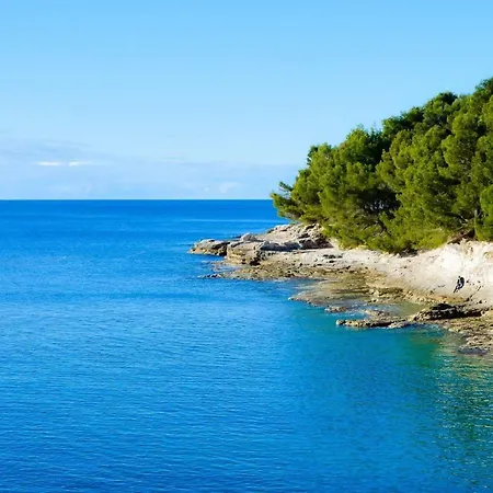 Sunsplash * プーラ